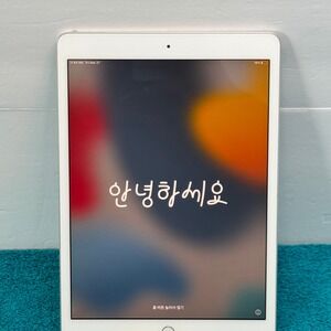 Apple iPad 7th Gen 32GB Silver WiFi 10.2-inch Tablet A2197 Model Silver